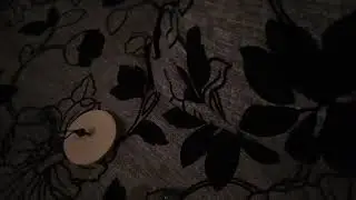 Мои юбилейные монеты и другие