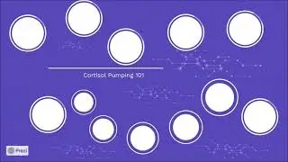 The Cortisol Pump  What You Need to Know