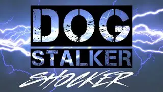 DOG-STALKER_5 SHOKER ☆ Электрошокер 1101 TYPE Light Flashlight + Фонарик ☆ Action Cam FDR-X3000R 4K