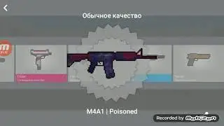 Кейсы