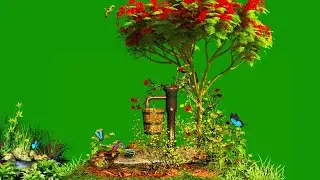 Green Screen Background / Tree Green Screen / Garden Effect Green Screen / Green Screen Effects