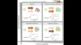 Maryam Kohram: Bacterial aging as a consequence of heterogeneity-driven adaptability