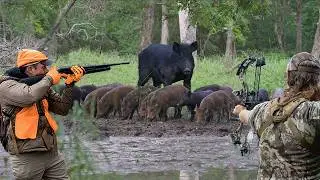 How to Hunt Wild Hogs | 4 BEST Ways