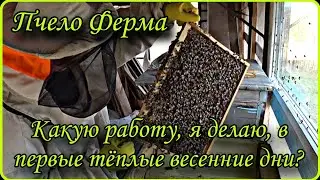 Весенние работы на Пчело Ферме в 2025 году