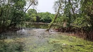 Cek Spot Mancing Liar Di Jakarta‼️Kalau udah rapih cakep ini spot