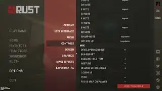 Rust Settings (2024)