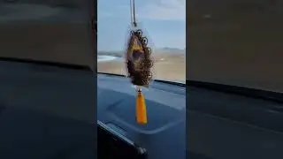 PESCA EN HUARMEY 2024