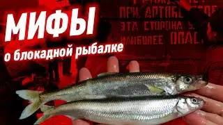 Почему в блокадном Ленинграде не ловили рыбу?