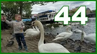 Никита 3 года 7 месяцев | 44-й месяц жизни Никитки