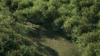 Unreal Engine 5 Foliage test