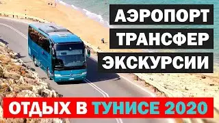 Тунис отдых 2020. Трансфер в отель, заселение в отель, экскурсии