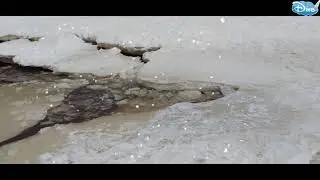 РЕПИНО - Финский залив 23.01.2022