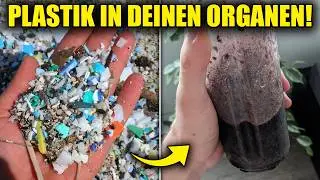 Du MUSST Plastik Ausleiten...Ich Zeig Dir Wie!