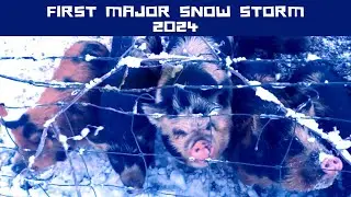 First Major Snow Storm of 2024 - Chores are COLD....