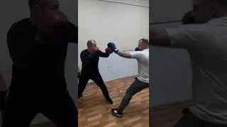 Как проходит стажировка в Holy Hooligan | MRGA 
