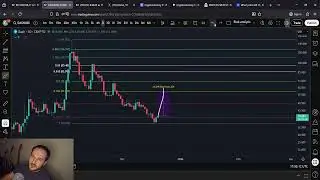 ZEC Zcash and DASH Price Predictions: BUY THE DIP NOW