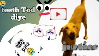 😭सारे दंत तोड दिये इसके 😭 | कब समझेंगे लोग इनका दर्द 😶 dog pain