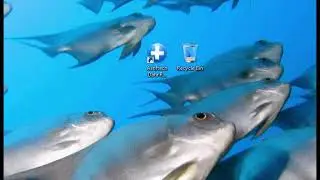 How to recover deleted files from Windows recycle bin