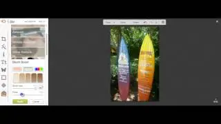 How To Fade An Image In Picmonkey