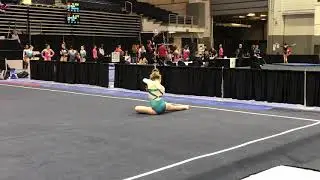 Alayna Karl, Naperville | L10 Floor 2018 Region 5 Championships