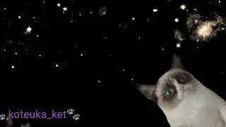 *пони клип* сегодня пятница улица развратница