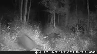 Test camera