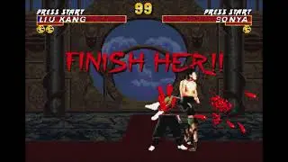 Ultimate Mortal Kombat Trilogy Supreme Demonstration Finishing Resist Vol. 2