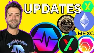 Why Hold PulseChain? New Updates, Projects, Exchanges (HEX Bitcoin Ethereum PulseX)