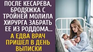 После кесарева бродяжка с тройней молила хирурга забрать ее из роддома… Едва врач пришел на выписку…