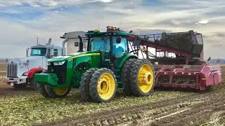 SUGAR BEET HARVEST 2020
