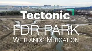Tectonic FDR Park Wetland Project