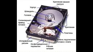 Звуки неисправностей жесткого диска, обзор Звуков жестких дисков