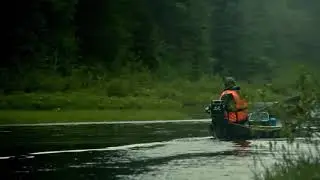 Двинская тайга