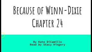 Because of Winn Dixie, Chapter 24