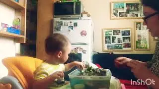 Знакомство с морем.