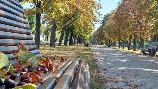 Осень на бульваре в Черкассах КАШТАНОВЫЙ  ЦЕНТР города
