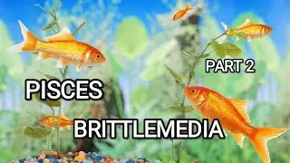 PISCES|PART 2|MGU||SEM3|NOTES|ZOOLOGY|BRITTLEMEDIA