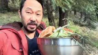 How To Get Chickens To Go Back Into Their Coop