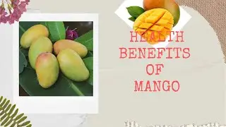 Health Benefits of Mango | GoOrganicNow