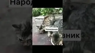 зов природы