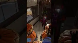 Показалось #rust #games