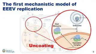 A Mechanistic Model of Alphavirus Replication... - Caroline I. Larkin - SysMod - Poster - ISMB 2022