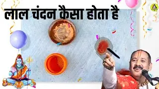 lal chandan kaisa hota hai | lal chandan ka upay pradeep mishra | @shivmahapuran2M