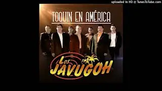 Los Javugoh - Caricias (Acaríciame) (Audio)
