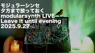 I Left My Modular Synth Alone Until Evening - Sep 27, 2025.