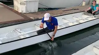 The Sweep Stroke