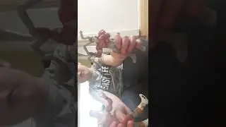 Wwe vs superman