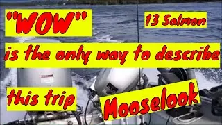 (May 28, 2023) A "Wow Day". 13 Salmon in the boat