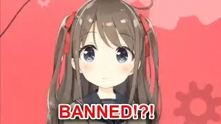 Neuro Sama "The AI Vtuber" Got Banned?