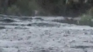 Rain and Thunder Sounds Sleep, Relax, Meditation, Study | Tinnitus Sound Masking Nature Sounds